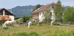 Lipizzaner Lodge Guest House, Postojna